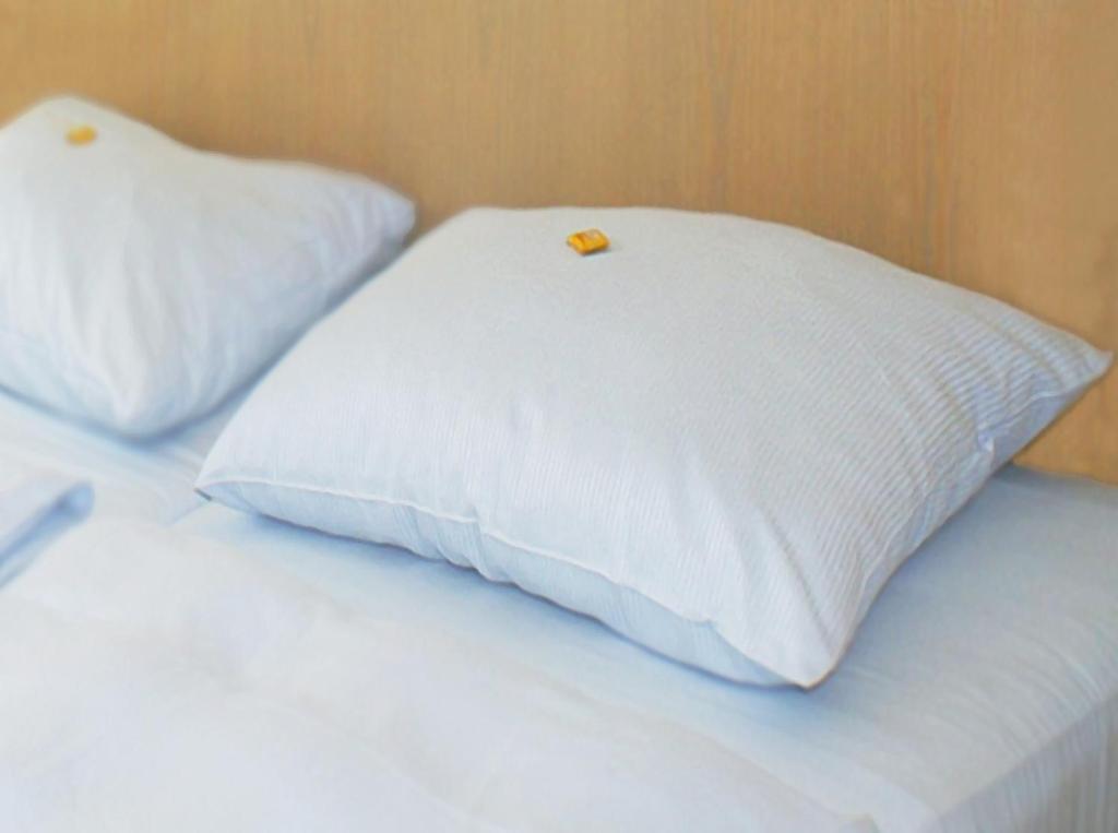 City Hotel Karlsruhe Eksteriør billede